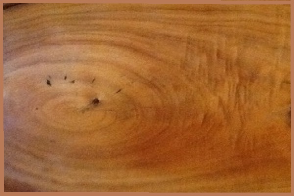 Spirit Board Theme YBIYNI YBIYNI Portal